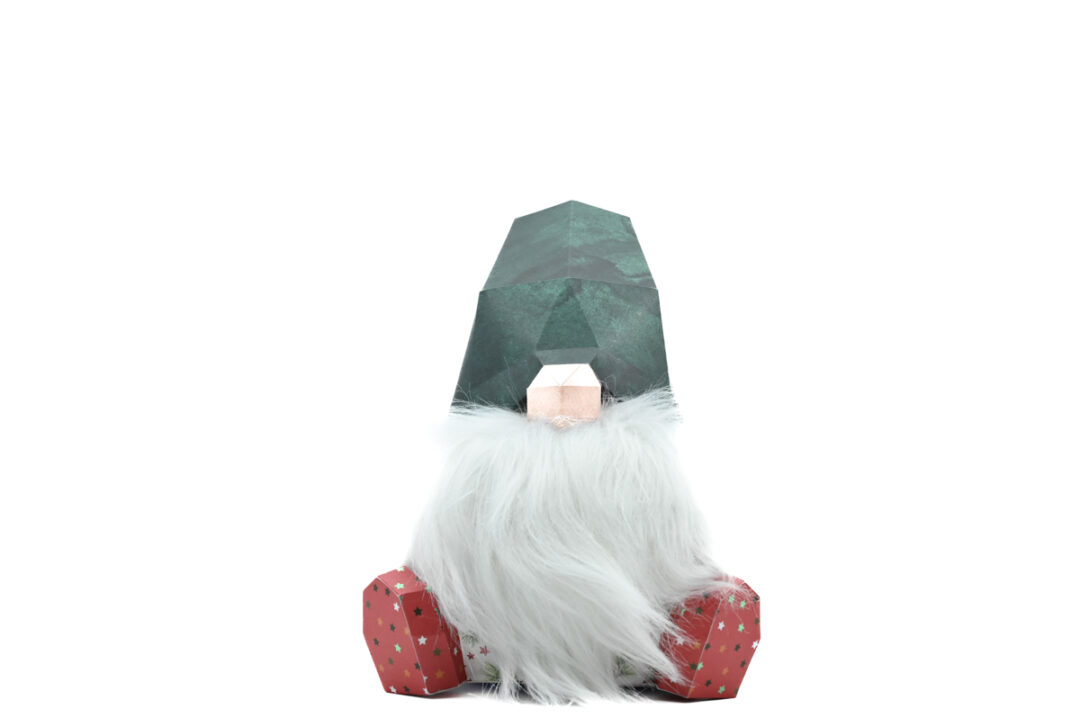 2000000017112-gnome-barbu-bonet-vert