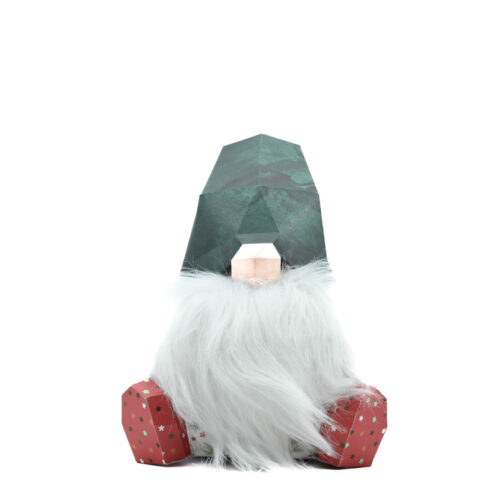 2000000017112-gnome-barbu-bonet-vert