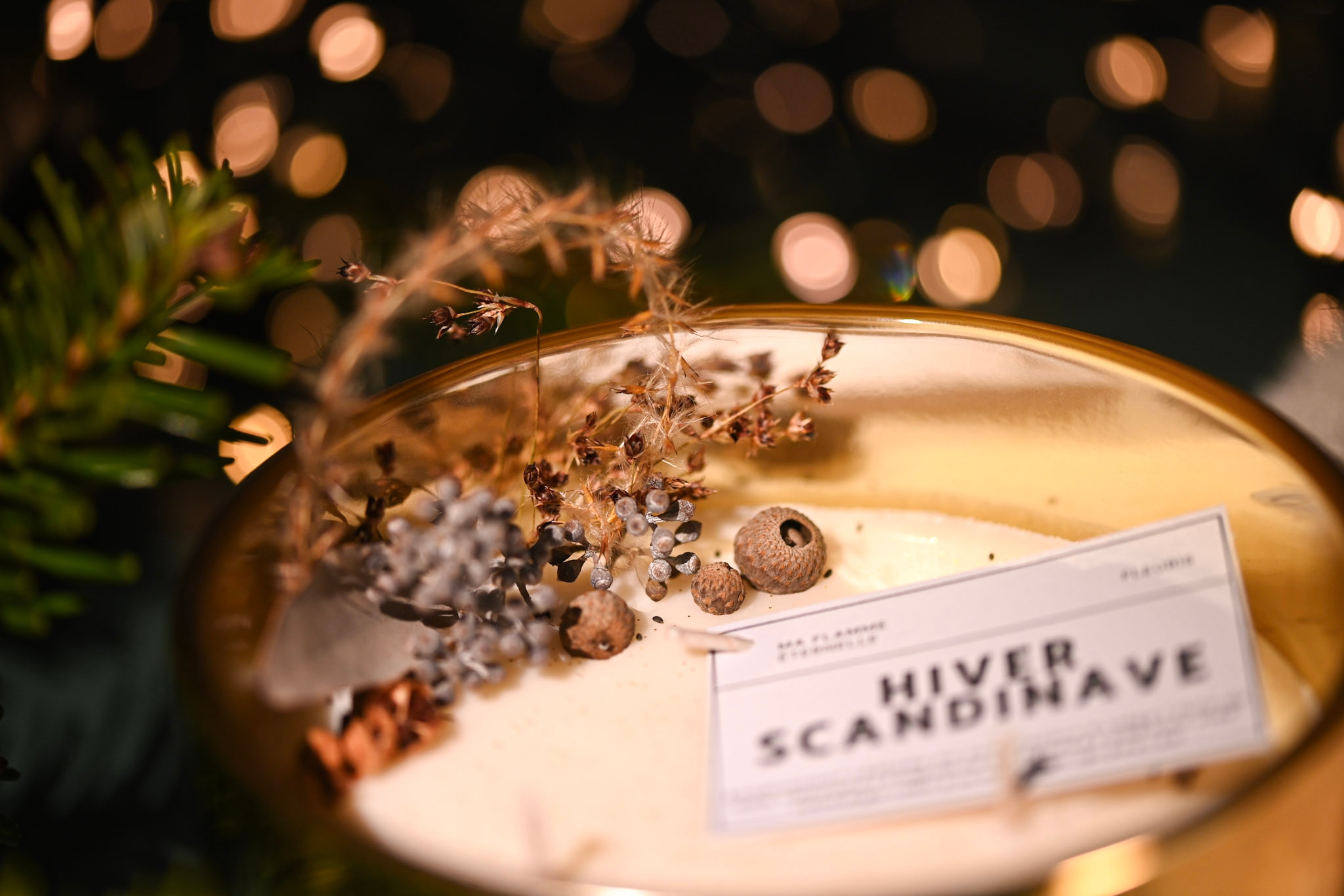 2000000019567-athor-or