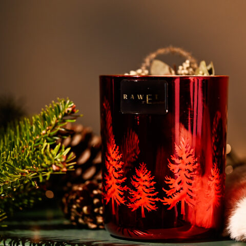 2000000019598-tex-sapin-de-noel-rouge